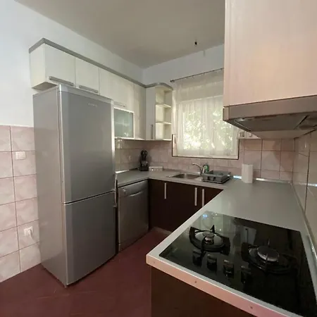 Apartment Nika